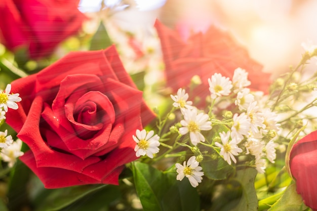 Close up red roses bouquet