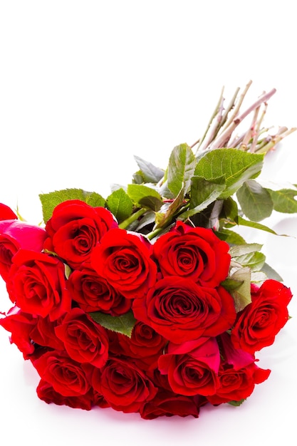 Close-up of red roses on white background.