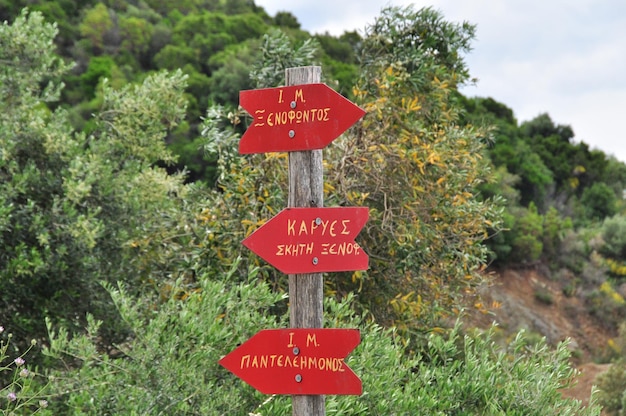 Photo close-up of red signboard against trees