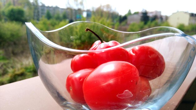 Foto prossimo piano di pomodori rossi