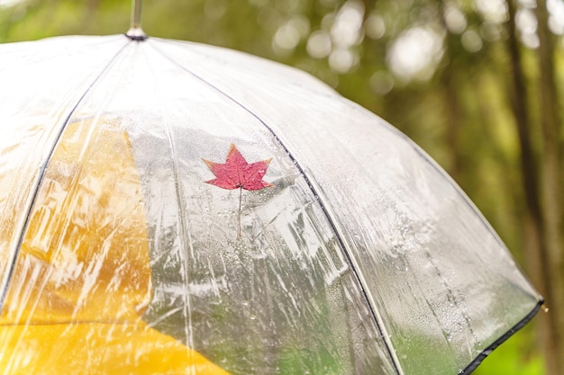 Photo close-up of red umbrella