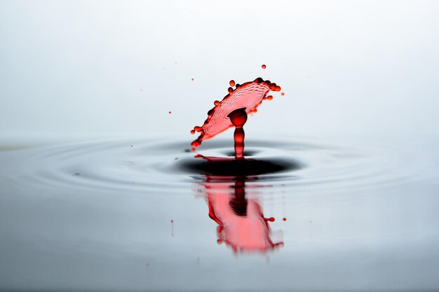 Photo close-up of red water against white background