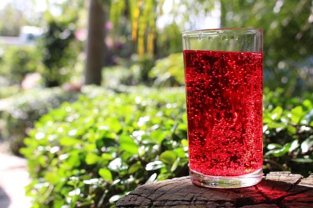 Foto close-up di vino rosso in cortile