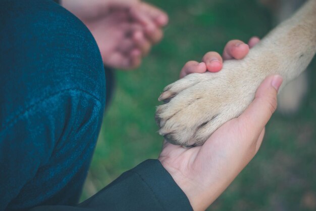 Foto close-up della relazione con la mano umana che tiene la gamba del cane