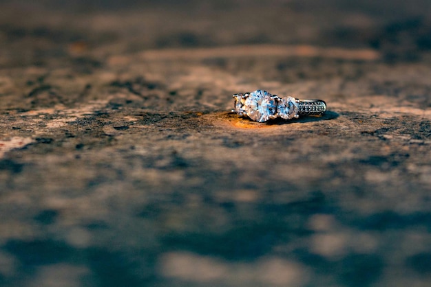 Foto prossimo piano dell'anello sul campo