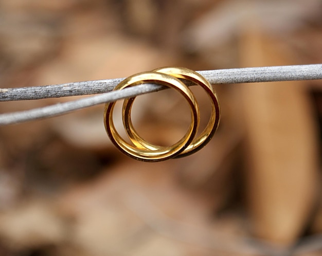 Photo close-up of rings hanging on twig