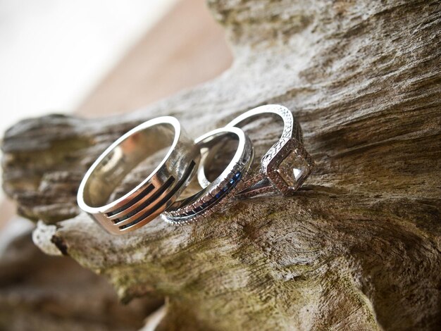 Photo close-up of rings on tree