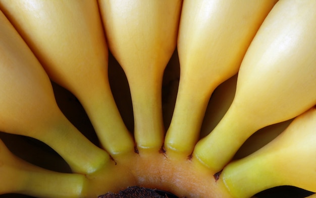 Photo close-up of ripe bananas in street market stall