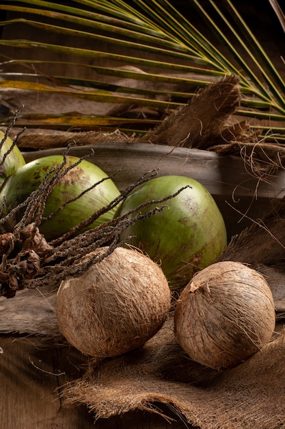 Close up on ripe coconuts and green coconuts