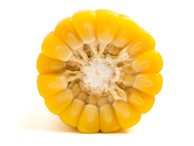 Close up of ripe sweet corn on white background. 