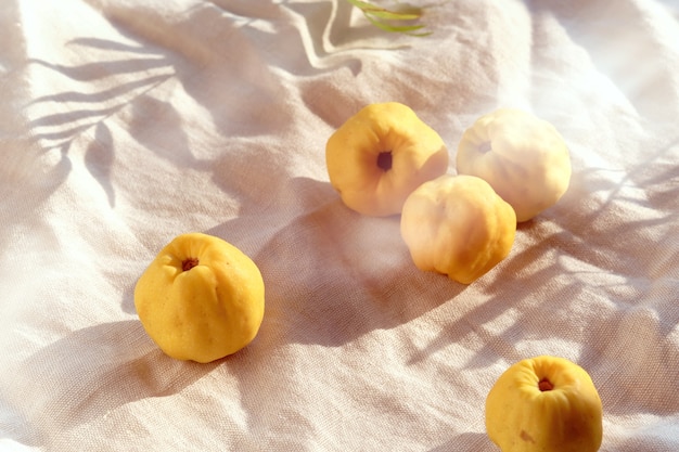 Close-up on ripe sweet Japanese quince fruits on linen tower with palm leaf shadows