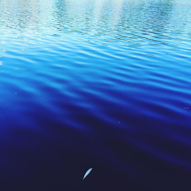 Close-up of rippled water