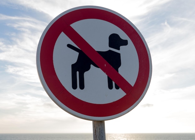 Close-up of road sign against sky