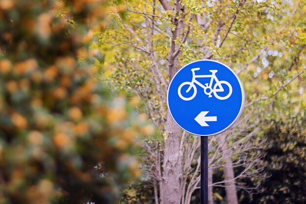 Photo close-up of road sign against trees