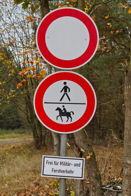 Close-up of road sign against trees