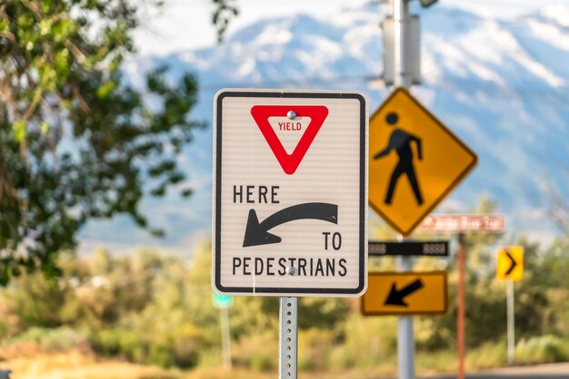 Photo close-up of road sign against trees