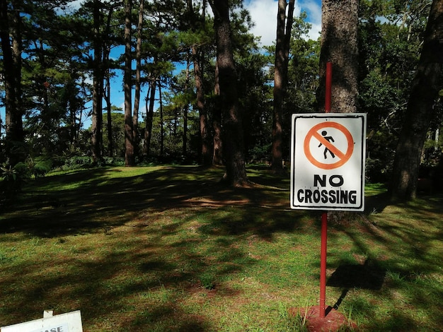 森の木々による道路標識のクローズアップ