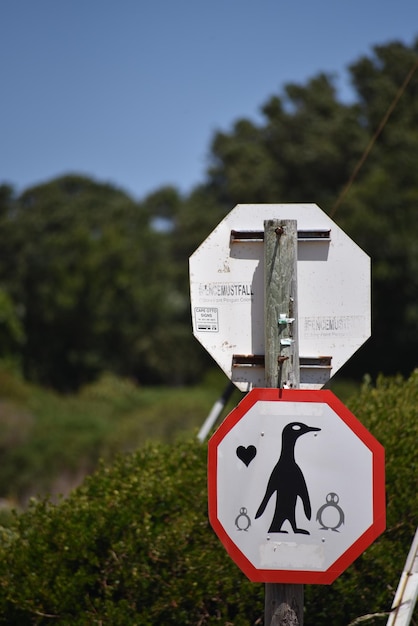 Foto close-up di un segnale stradale sul campo