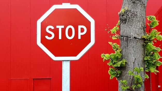 Photo close-up of road sign on red wall