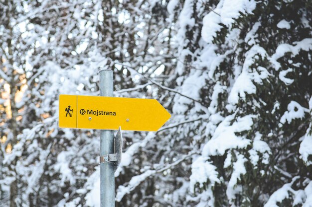 Close-up of road sign on snow