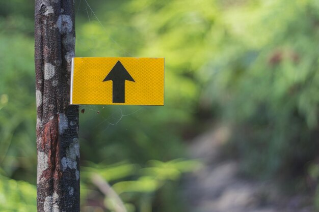 Photo close-up of road sign on tree trunk