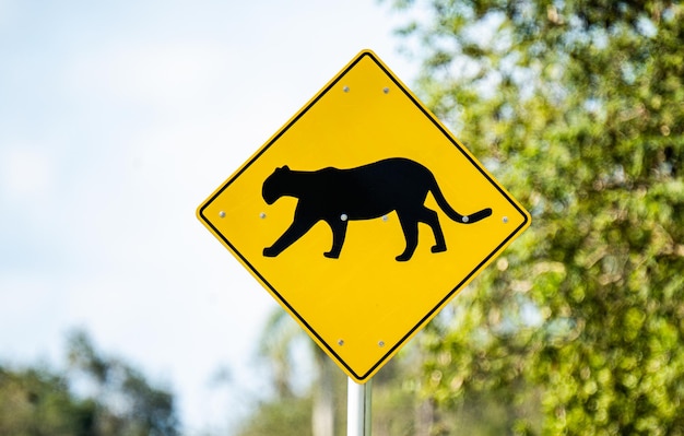 Photo close-up of road sign