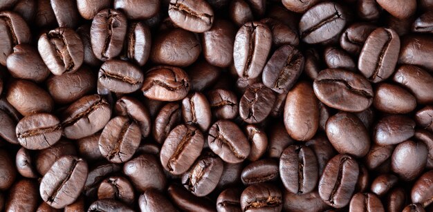 Close up roasted coffee bean