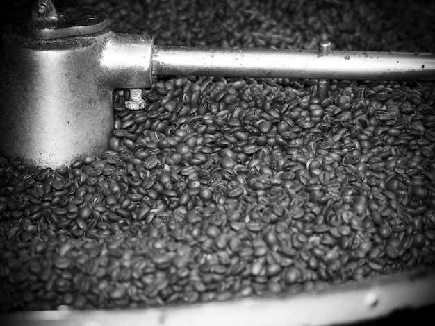 Close up of roasted coffee beans in grinder