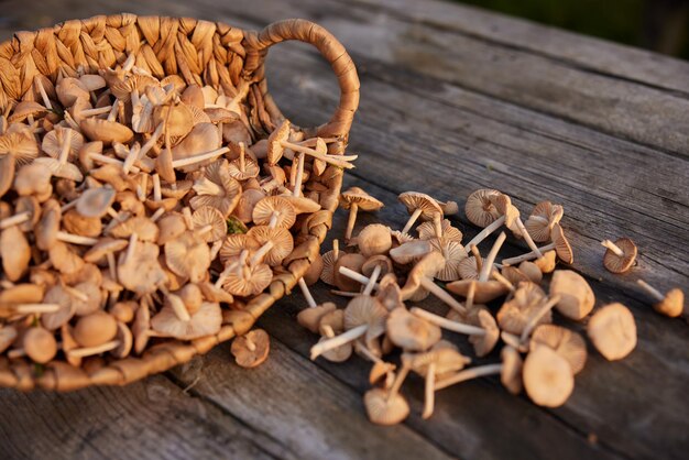 Close-up of roasted coffee beans on table