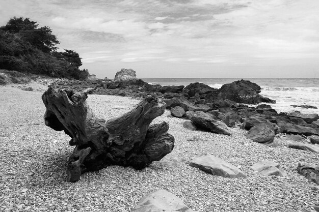 Close-up of rock on beach against sky