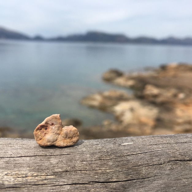 Photo close-up of rock by sea against sky