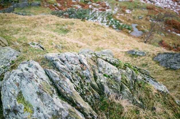 Foto prossimo piano di roccia su un campo erboso