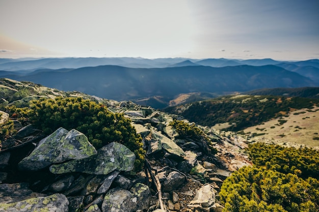 A close up of a rock mountain