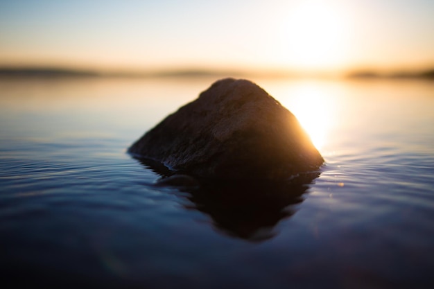 Foto prossimo piano di roccia in mare