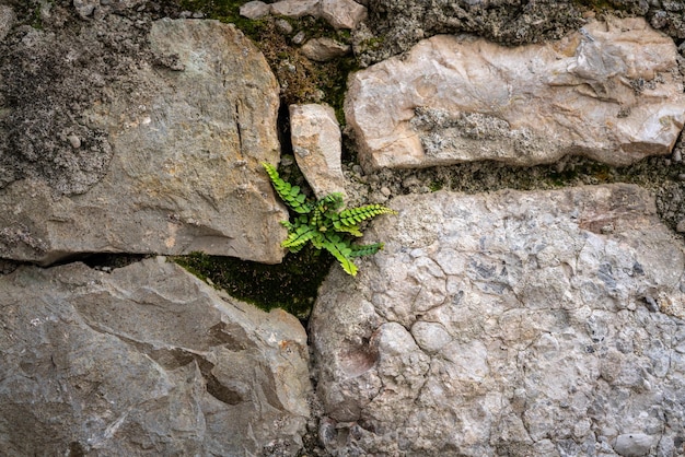 Foto prossimo piano della roccia