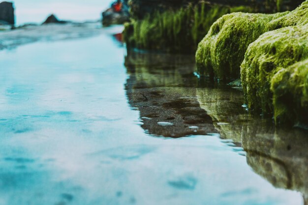 Close-up of rocks by sea