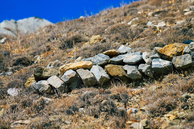 Close-up of rocks on field against blue sky