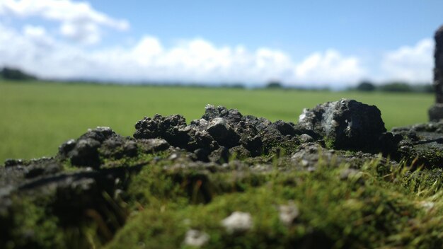 Close-up of rocks on field against sky