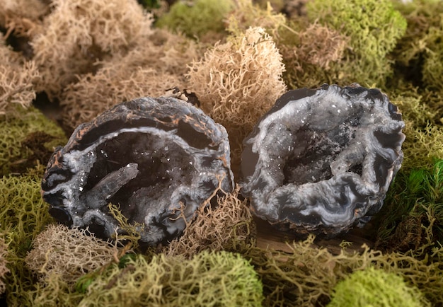 Photo close-up of rocks on field