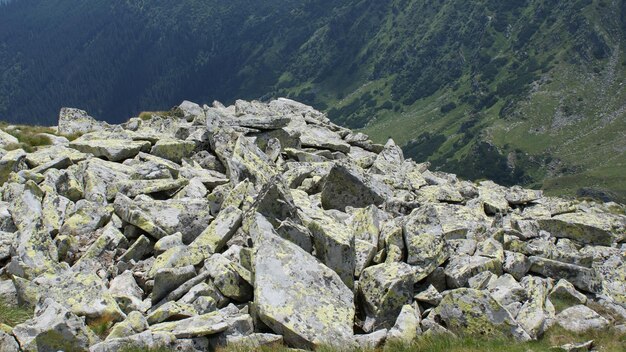 Photo close-up of rocks on mountain