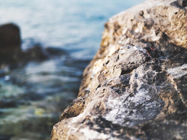 Photo close-up of rocks on shore