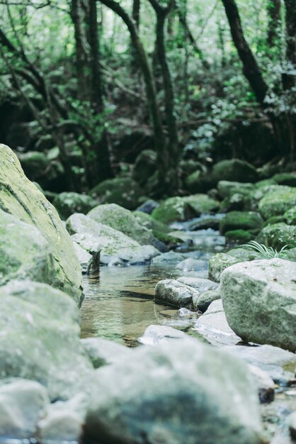 Foto close-up di rocce in acqua