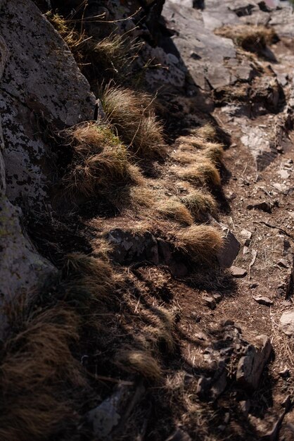 Foto prossimo piano delle rocce