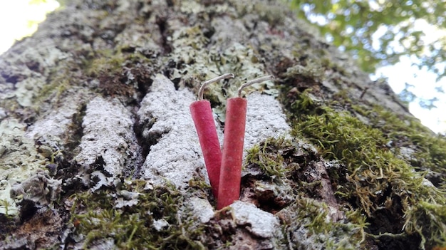 Foto prossimo piano delle rocce