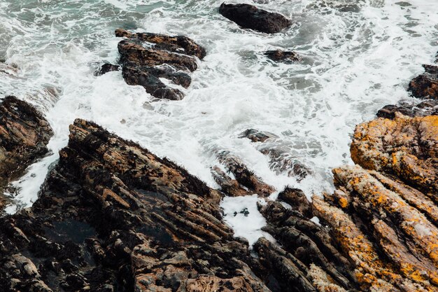 Foto prossimo piano della riva rocciosa