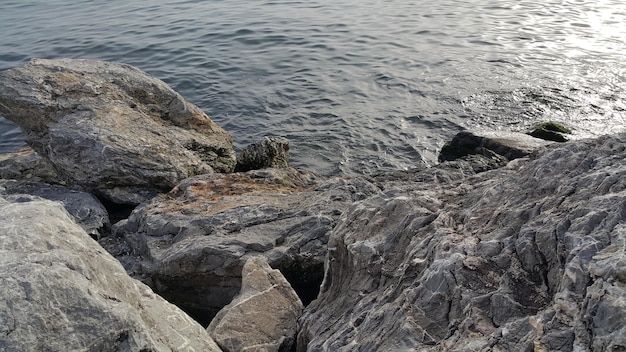 Close-up of rocky shore