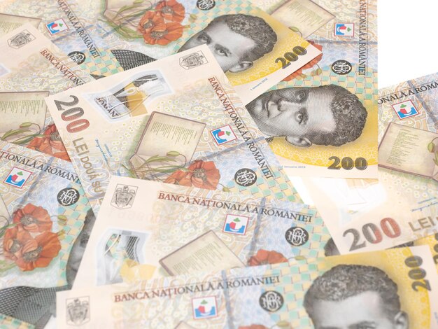 Close up of romanian money