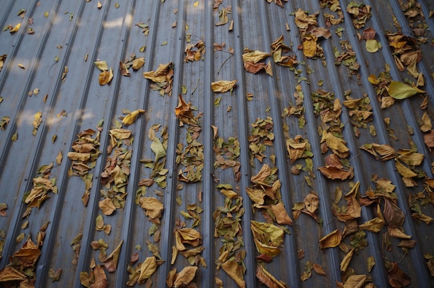 A close up of a roof with leaves on it