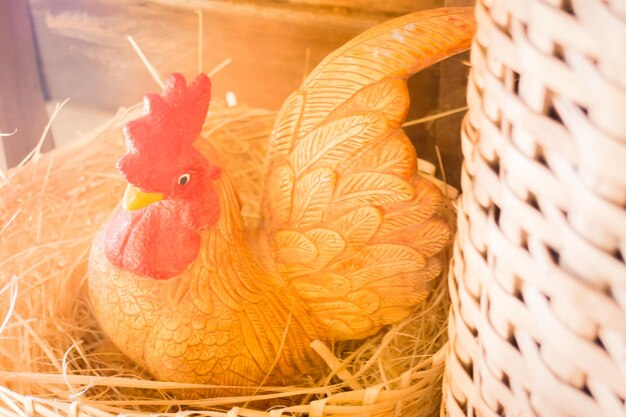 Close-up of rooster