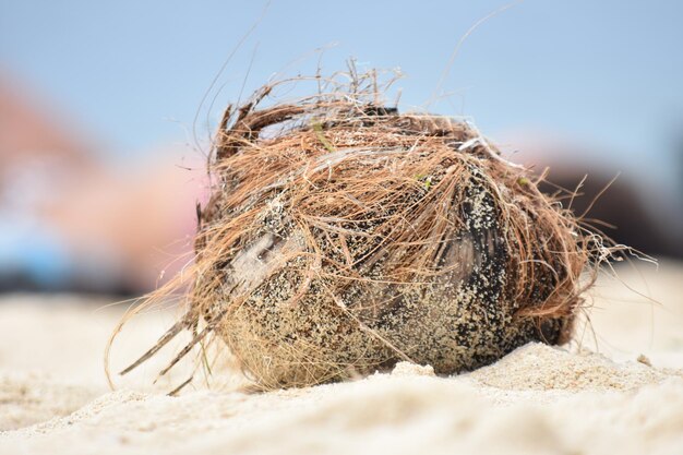 Photo close-up of rope on sand